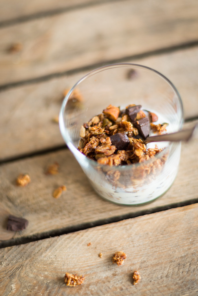 coconut chocolate granola