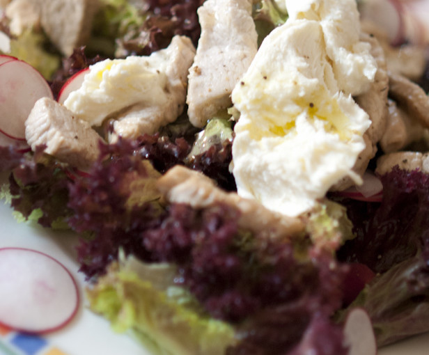 Erfrischender Salat mit Putenstreifen, Radieschen, Mozzarella und Zitronendressing