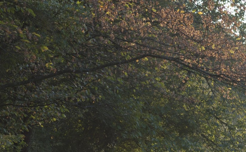 Herbst
